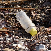 Plastik: Der Fluch der Meere