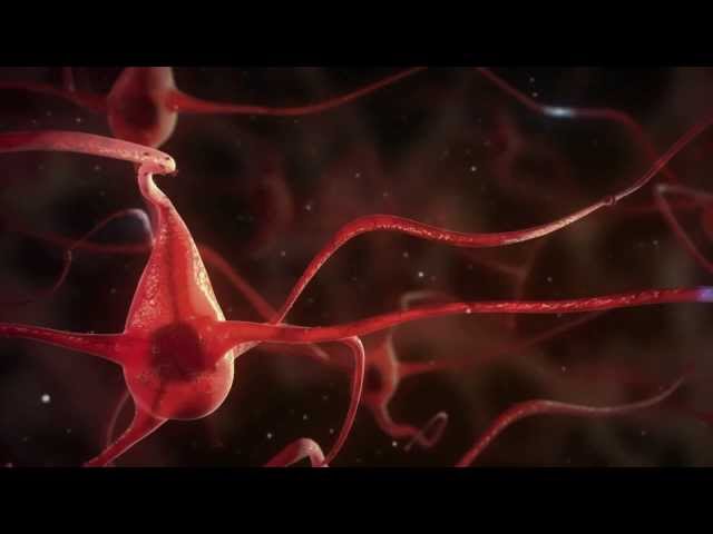 Mechanisms and secrets of Alzheimer's disease: exploring the brain