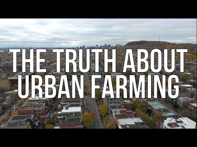 THE TRUTH ABOUT URBAN FARMING