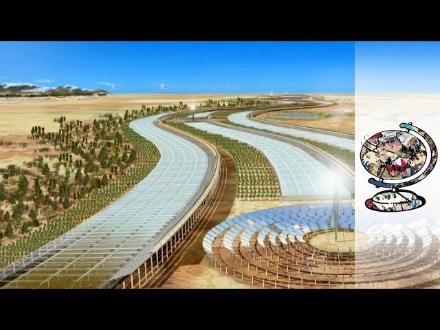 Qatar's Ambitious Plan to Turn the Desert Green