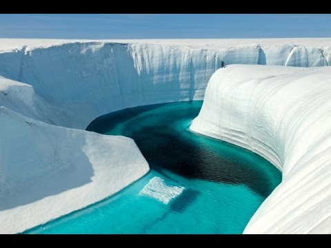 11 Shocking Effects of Climate Change