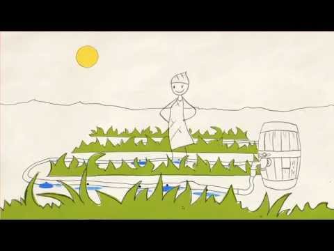 The Story of Agriculture and the Green Economy - YouTube
