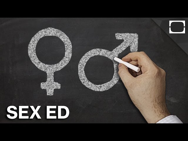 Which Countries Have The Best Sex Education?