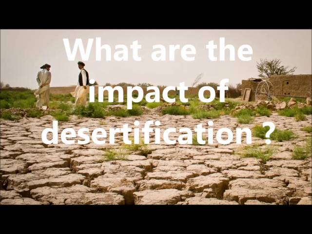 Desertification (causes, impact and solutions)
