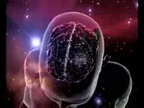 the Illusion of Reality ~ consciousness & quantum theory