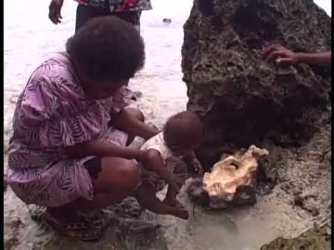 Vanuatu - Water Project