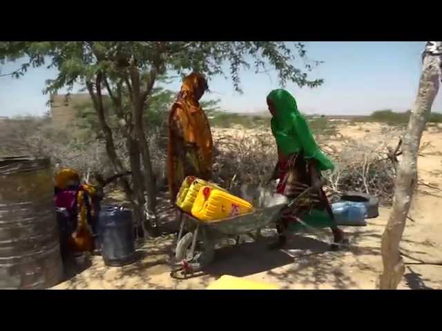 Überleben und Entwicklung: Wasser- und Hygieneprogramm von UNICEF in Somalia