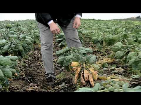 Klimawandel in Deutschland - ein Landwirt erzählt