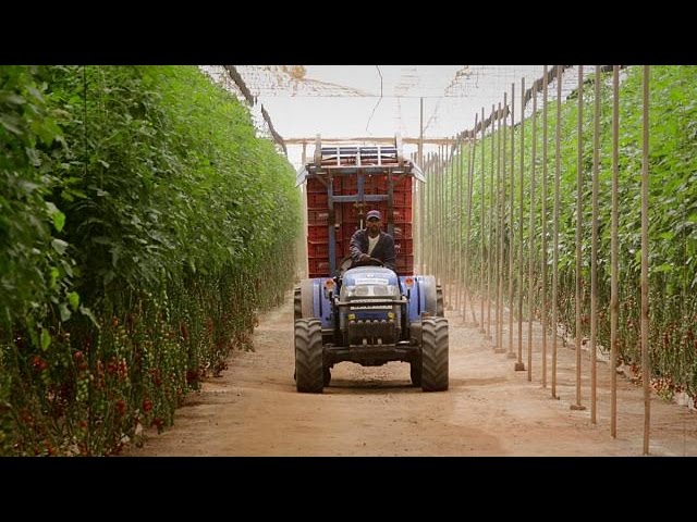 Marokko passt seine Landwirtschaft dem Klimawandel an