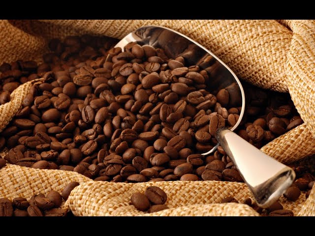 Gift im Kaffee - Warum ist Kaffee so billig