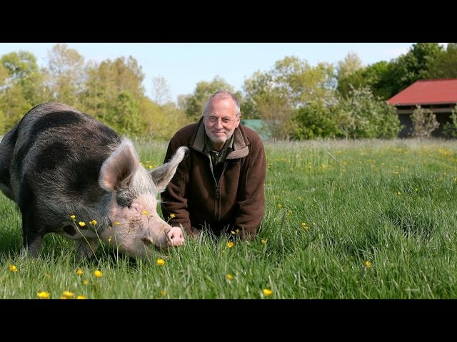 Menschenrechte für Tiere? | Tag7 | Das Erste | WDR