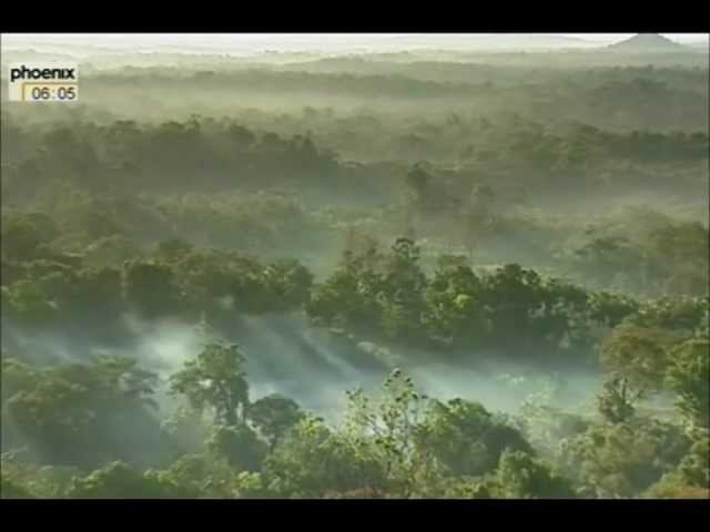 Biopiraterie Dokumentation - Ausbeutung indigener Völker Teil (1/3) HD