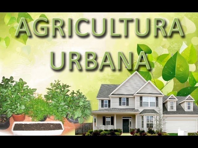 TU HUERTO EN CASA (GUÍA BÁSICA) AGRICULTURA URBANA PARTE 1