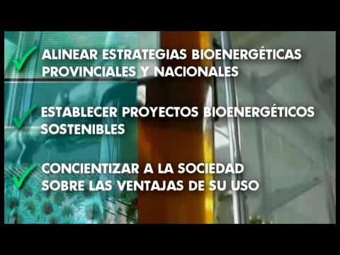 PROBIOMASA. Proyecto para la promoción de la energía derivaba de biomasa.