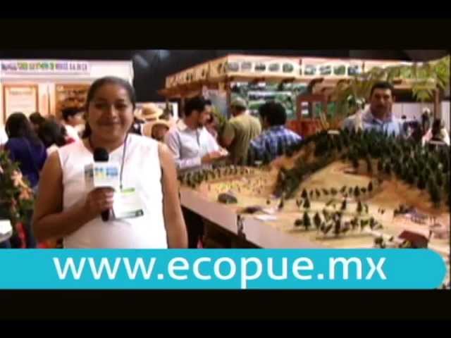 Ecopue - Expo Forestal: Asistencia Técnica Forestal