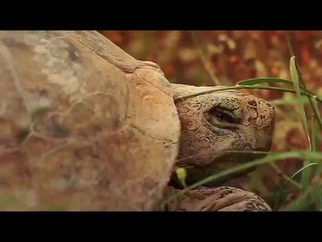 CONANP, 15 años conservando el Patrimonio Natural para el futuro de México