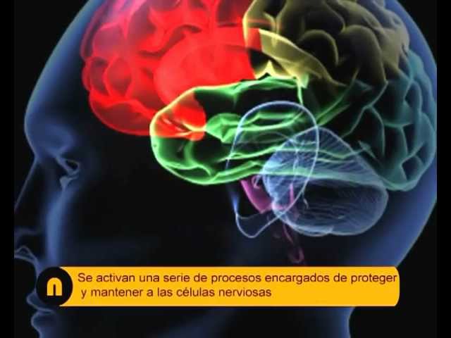 Apuntes salud mental y deporte