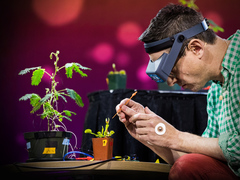 Electrical experiments with plants that count and communicate
