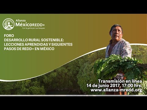 Foro: Desarrollo Rural Sostenible: lecciones aprendidas y siguientes pasos de REDD+ en México