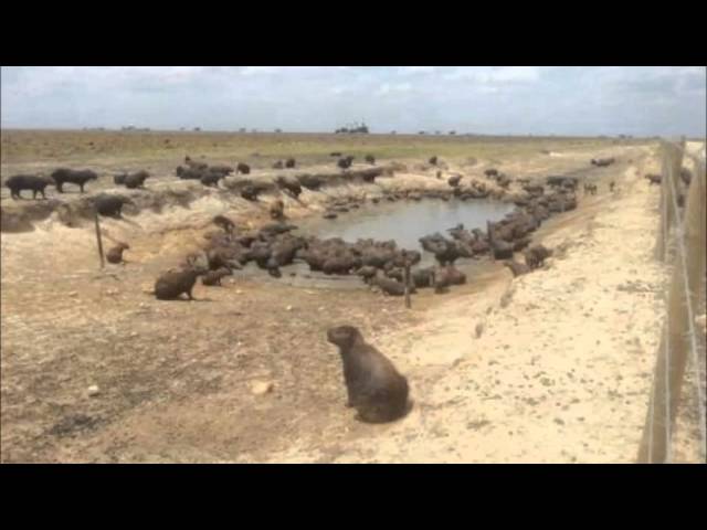 Influencia del ser humano en el deterioro de los ecosistemas