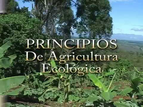 Documental Principios de Agricultura Ecologica