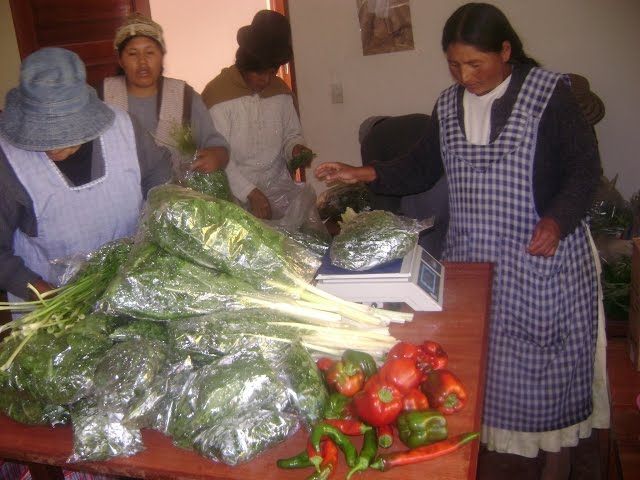 CENTRO FOCAPACI: Trasnformación de Productos -Agricultura Urbana y Seguridad Alimentaría