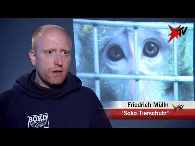 Heimliche Aufnahmen: Tierversuche am Max-Planck-Institut - Reportage 1 von 6 | stern TV (10.09.2014)