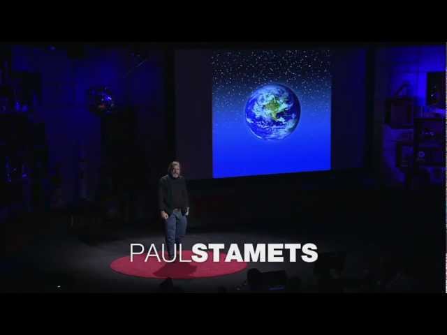 6 Ways MUSHROOMS Can SAVE the WORLD - Paul Stamets - TED awards -Talk, Lecture, Documentary