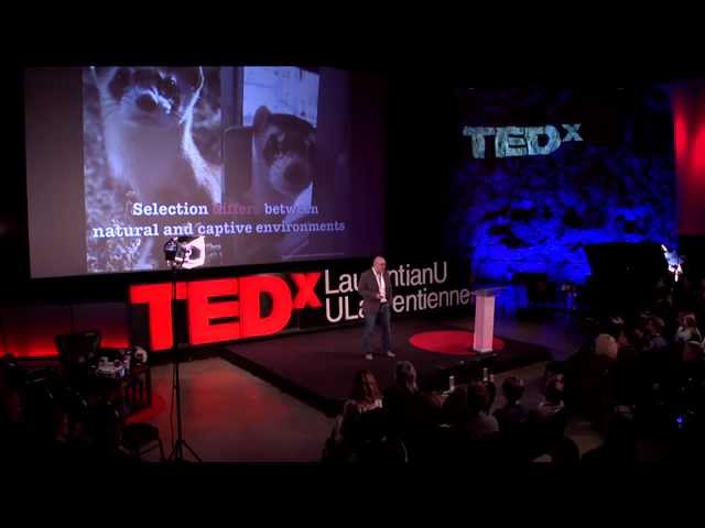 Evolutionary Consequences of Human Activities: Dr. Albrecht Schulte-Hostedde at TEDxLaurentianU