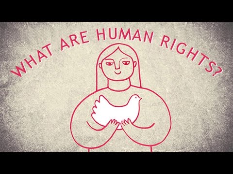 What are the universal human rights? - Benedetta Berti