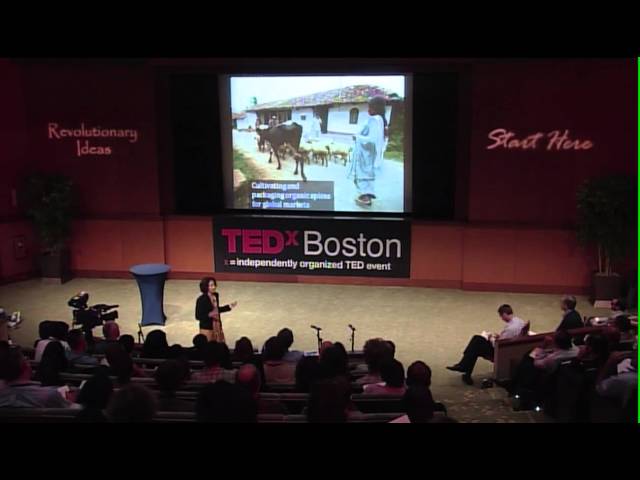 TEDxBoston - Vibha Pingle - Beyond Microfinance