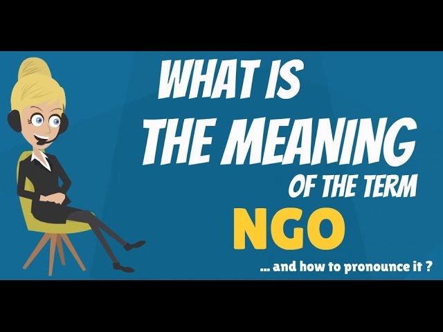 What is NGO? What does NGO mean? NGO meaning, definition, explanation & pronunciation