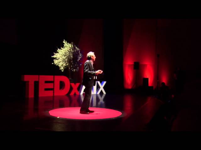 The myth of globalisation | Peter Alfandary | TEDxAix - YouTube