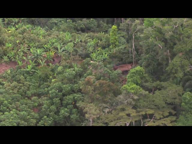 Unkontaktierte Amazonas-Indianer: Erste Luftaufnahmen