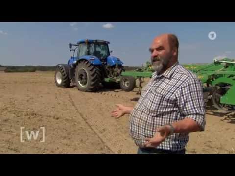 Dürre in Brandenburg: Ackern in der "Sandbüchse" | W wie Wissen