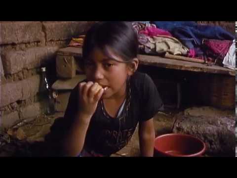 3 TAGE MIT ANA - Harte Kindheit in Guatemala - preisgekrönte TV-Doku (1988)