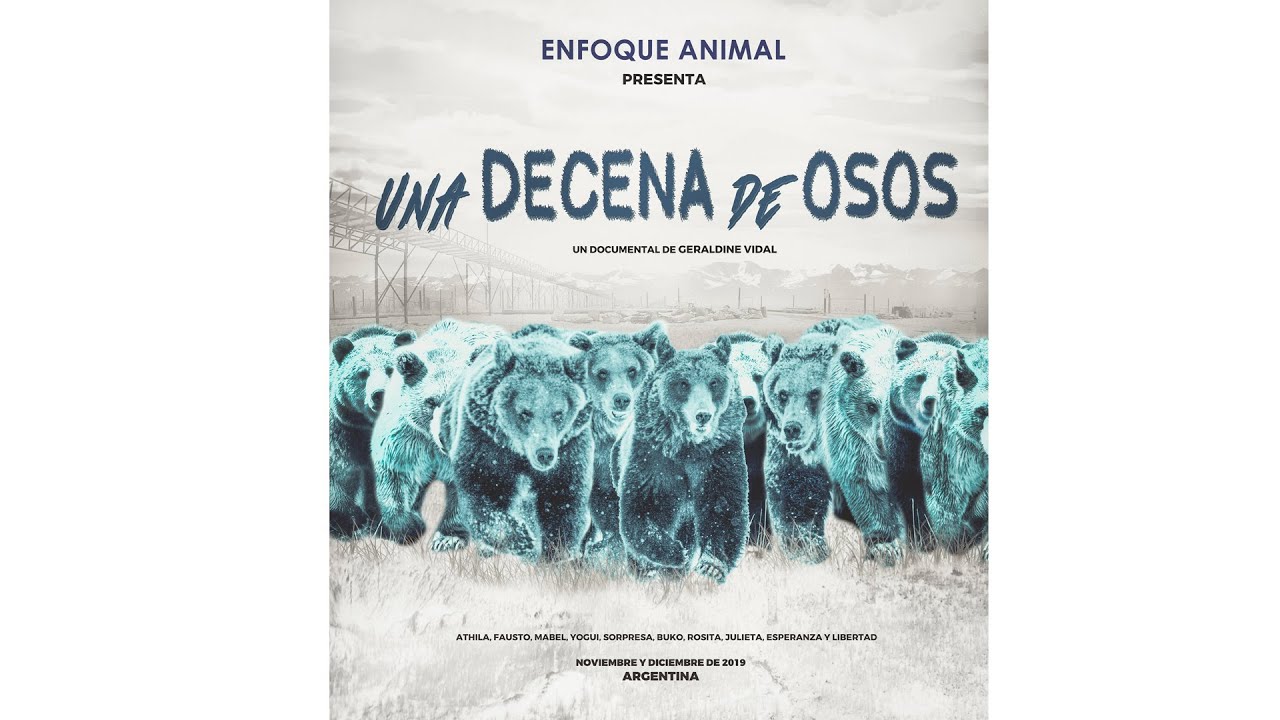 UNA DECENA DE OSOS | Documental Completo subtitulado. Traslado de 10 osos del ex Zoo de Mendoza