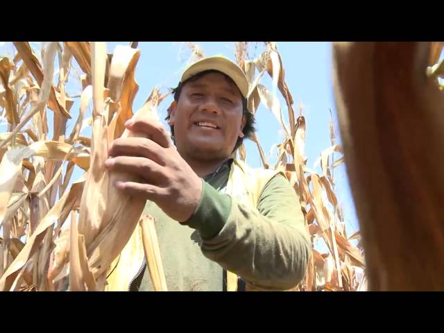 Reportaje Agro TV: Desarrollo del norte peruano con el Proyecto Olmos