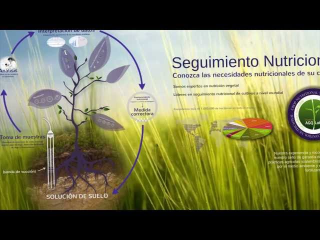 Nutrición vegetal. Seguimiento nutricional de cultivos